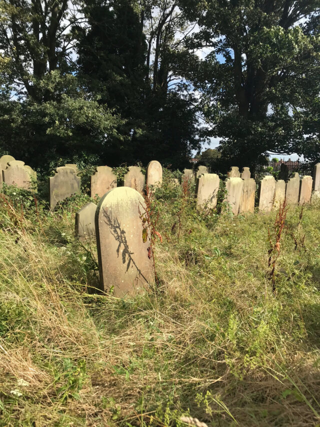 The Living Churchyard at Bridlington Priory